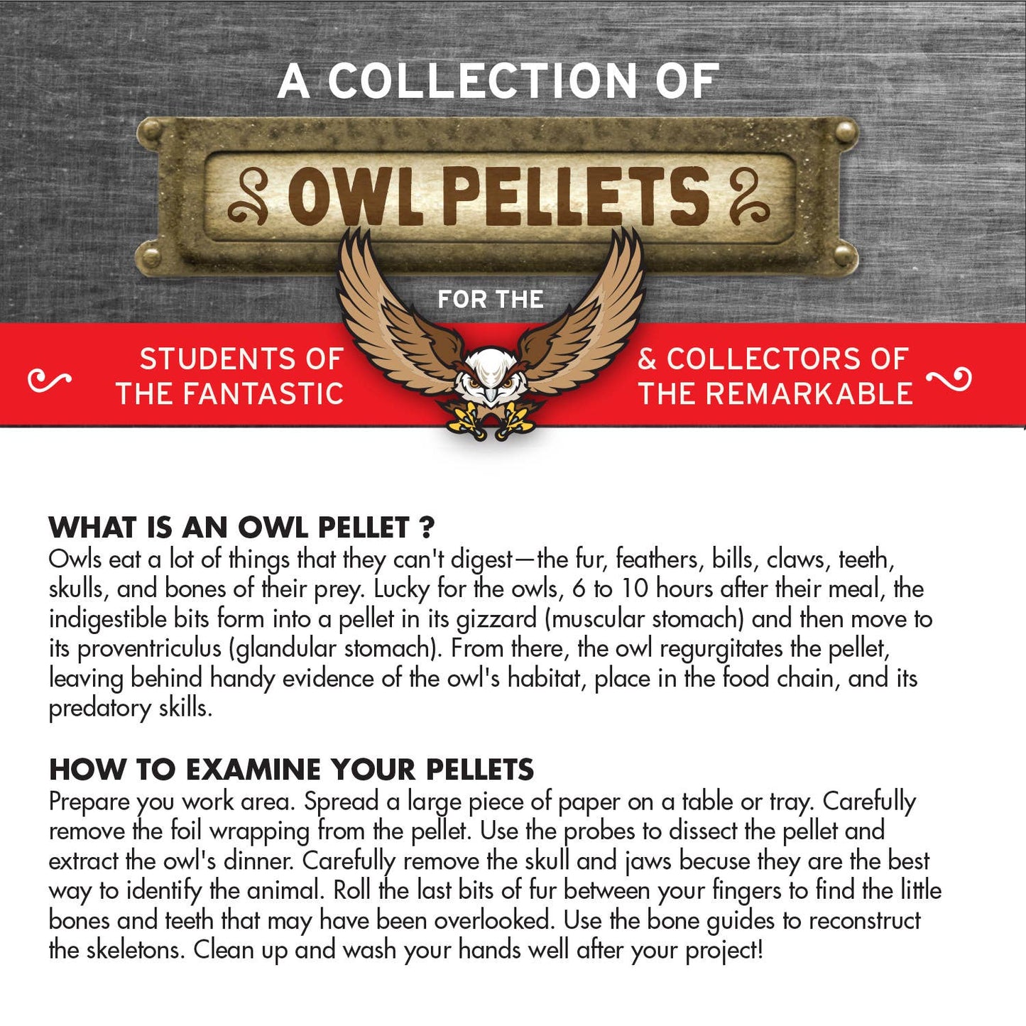 Cabinet of Owl Pellets -Dissection Kit Science