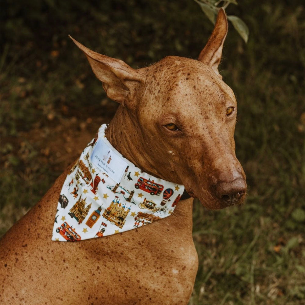 Peckish Goose London Dog Bandana