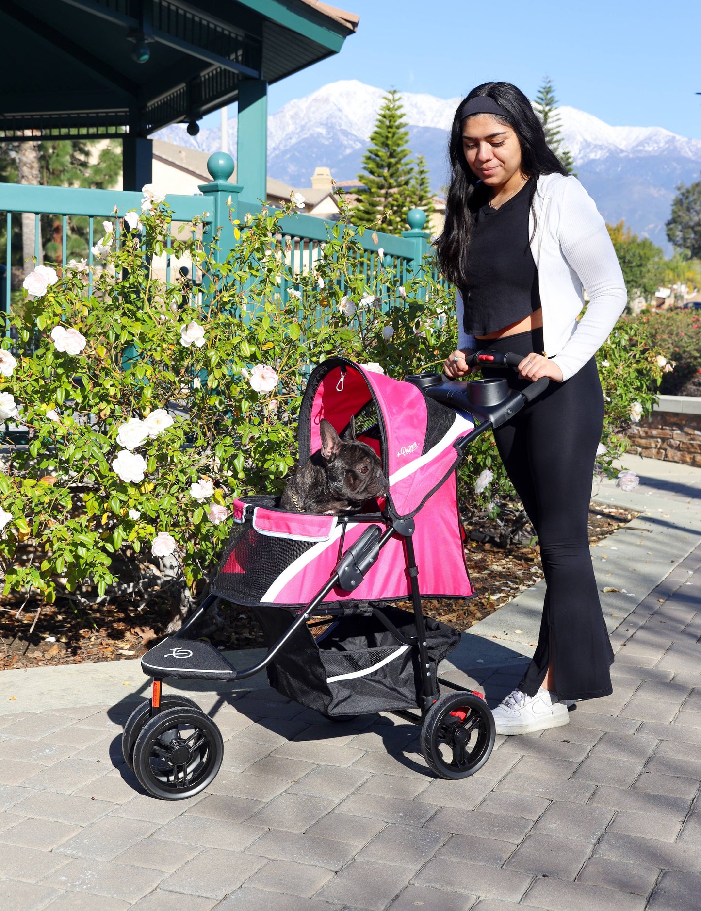 Petique, Inc - Revolutionary Pet Stroller for Dogs and Cats
