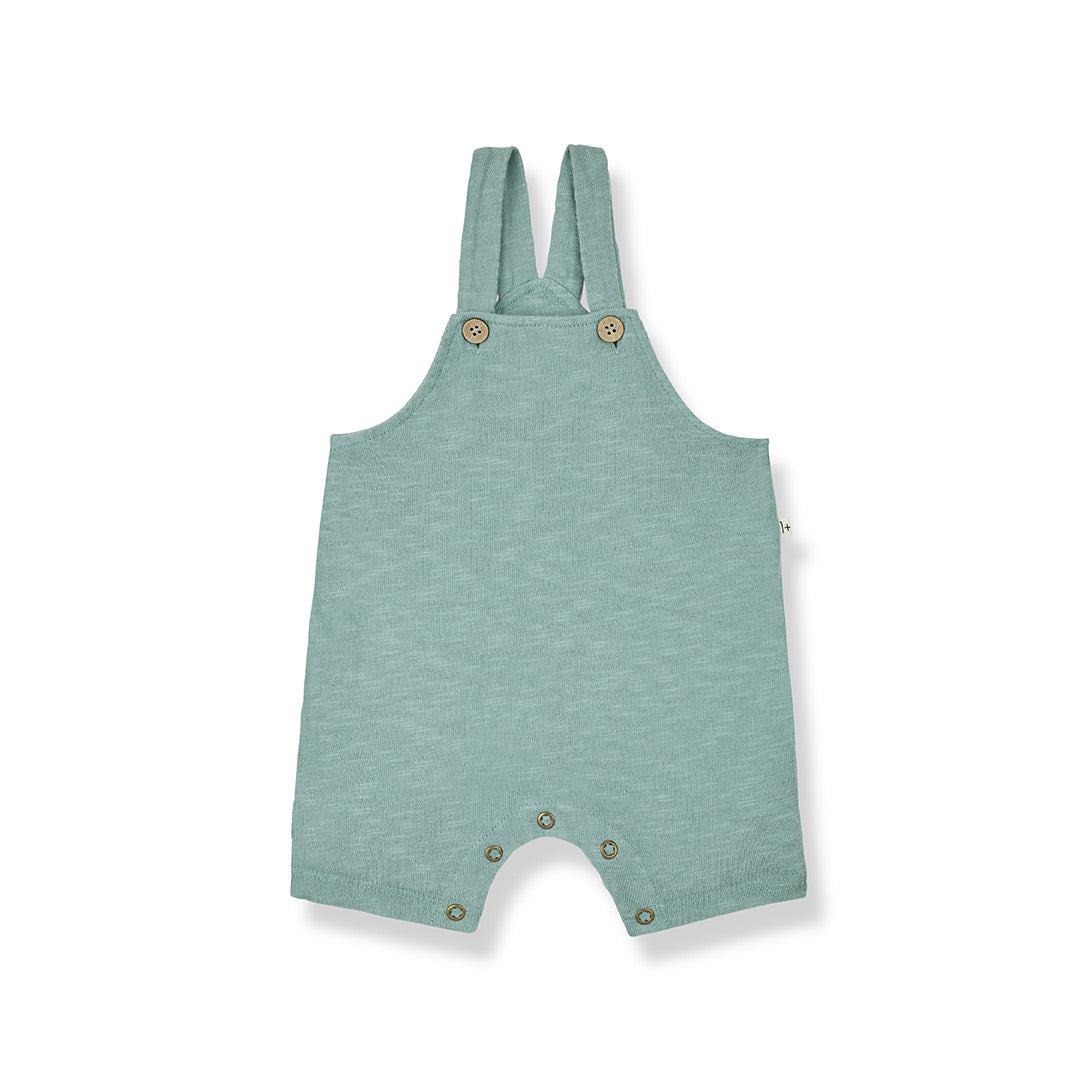 1+ in the family Rocco Overalls - Shark