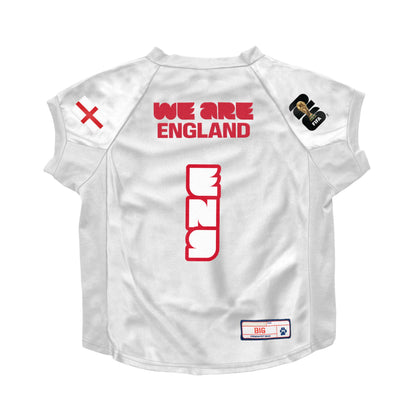Little Earth Productions - 2026 FIFA World Cup Pet Stretch Jersey