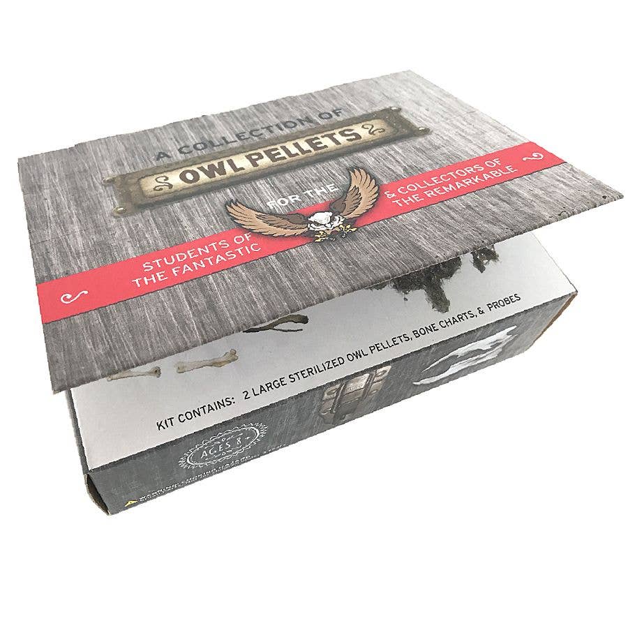 Cabinet of Owl Pellets -Dissection Kit Science