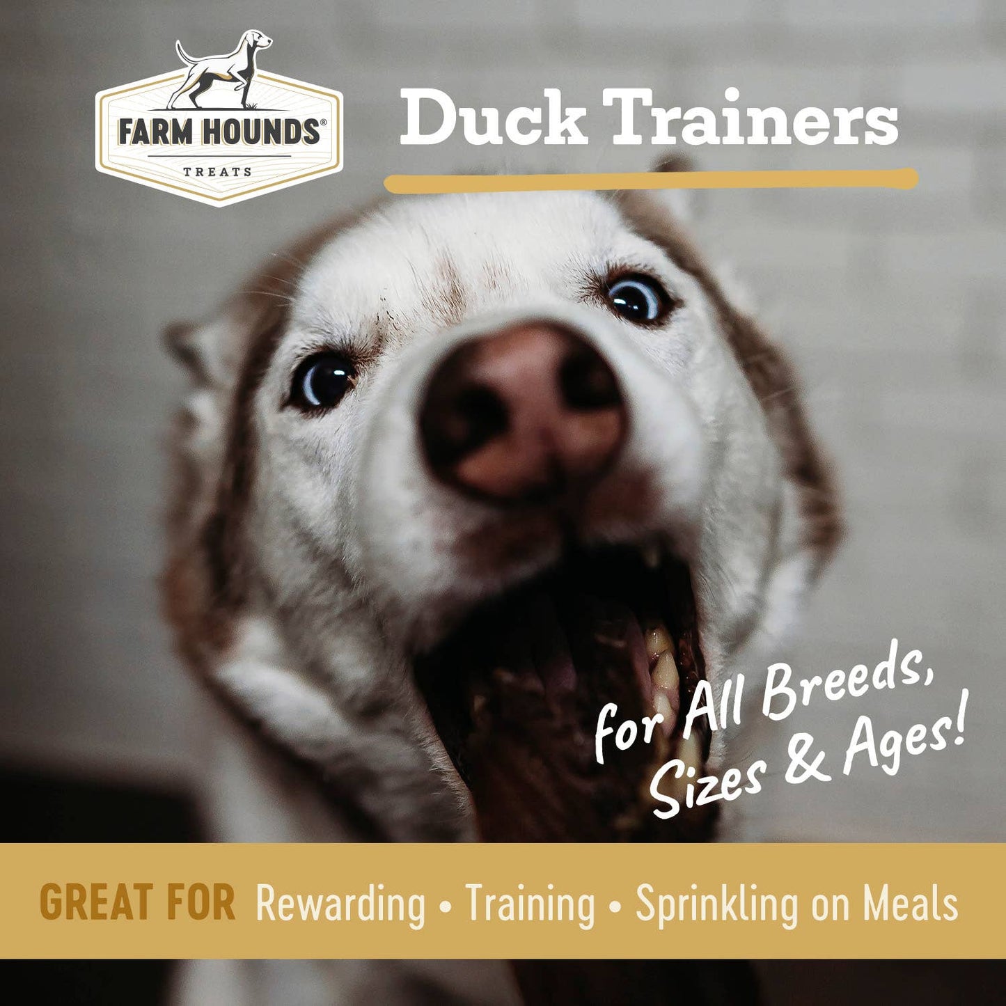 Farm Hounds - Duck Trainer - All-Natural Dog Treats - 4.5oz