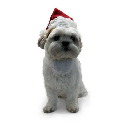 Dogo Pet - Santa Hat: L