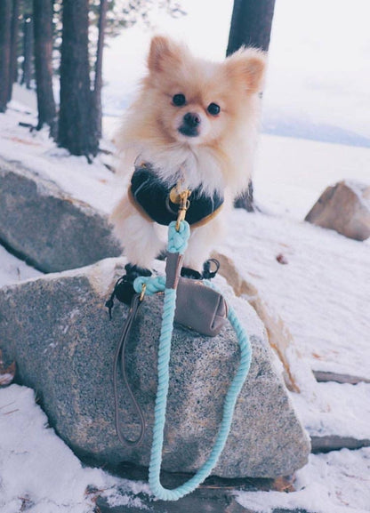 PoisePup - LEASH - DESERT MINT