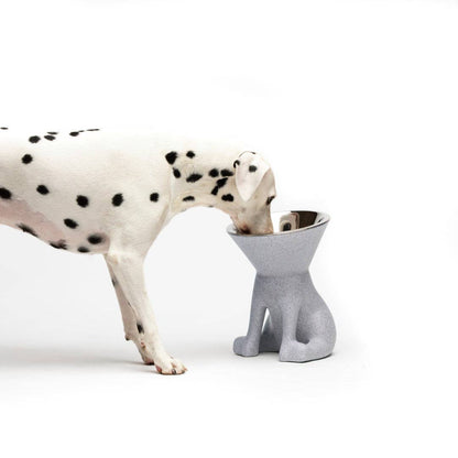 Puppy Gallery - ELIZABETH - The Queen of Dog Bowl