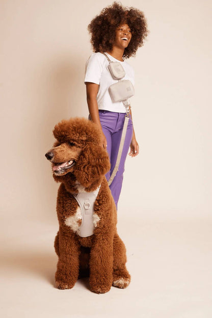 maxbone - GO! With Ease Hands-Free Leash for Dogs