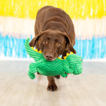 PetShop by Fringe Studio Thorny But Cute Plush Dog Toy