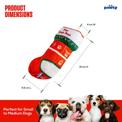 PAWTY Dog Toys - Christmas Sock