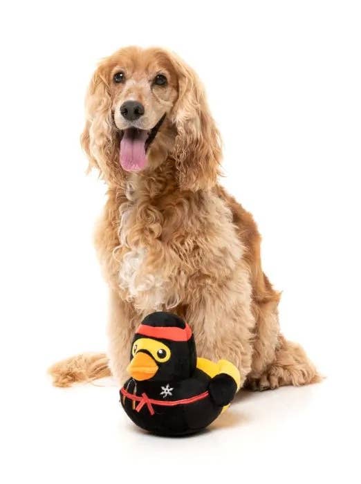 Pet Palette Distribution - FuzzYard Quackie Chan Plush Dog Toy