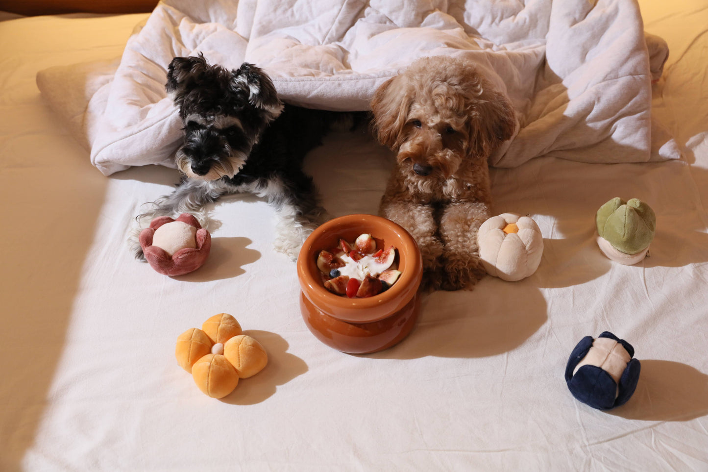 PEHOM - Soufflé Pet Bowl - Avocado Green