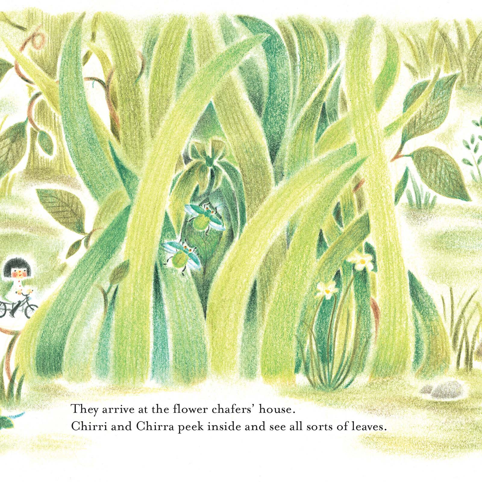 Chirri & Chirra In the Tall Grass Book
