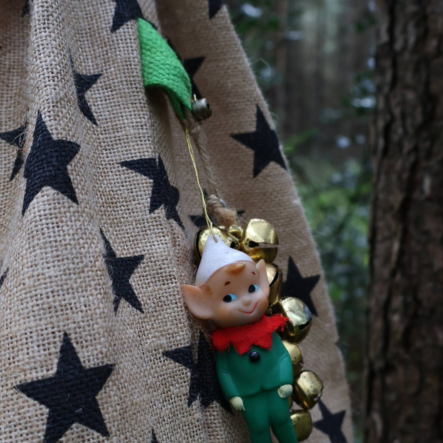 Christmas Star Sack with Googly Eyes