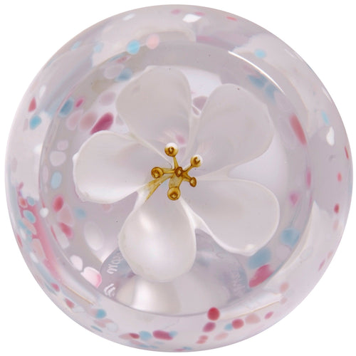 Caithness Blossom Ivory