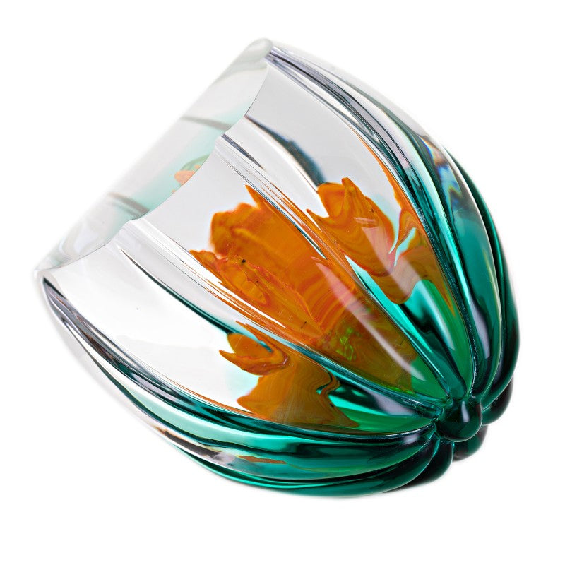 Caithness Flame Azalea