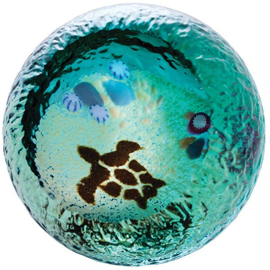 Caithness Seabed Turtle