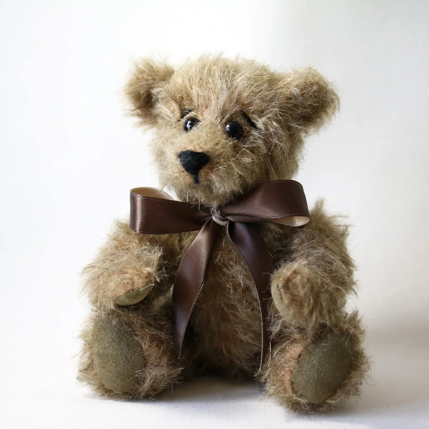 Canterbury Bears Walter