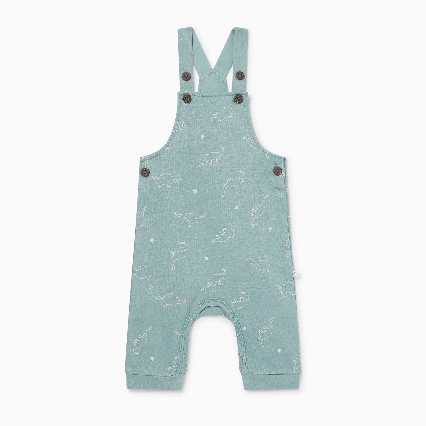 Dino Print Dungarees