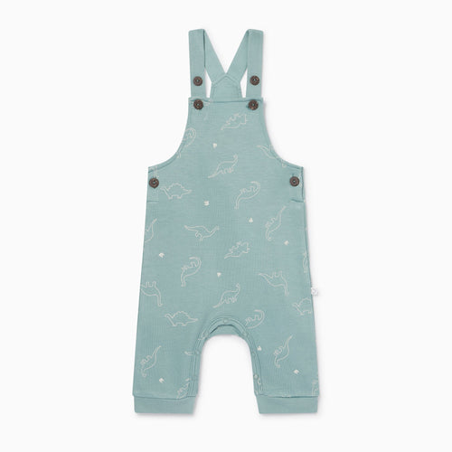 Dino Print Dungarees