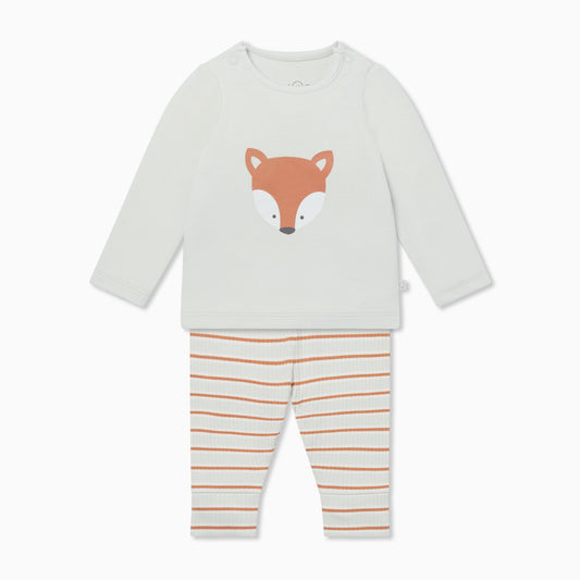 Fox T-Shirt & Striped Ribbed Leggings Outfit