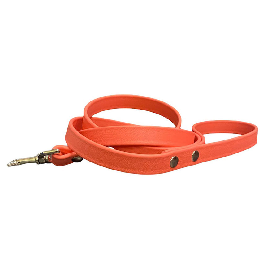 Dog Bar Futura Leashes