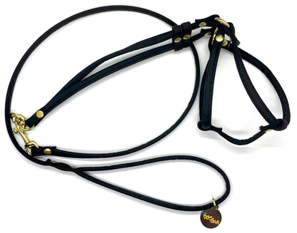 Dog Bar Brass Step-In Nylon Dog Harness w/ Leash