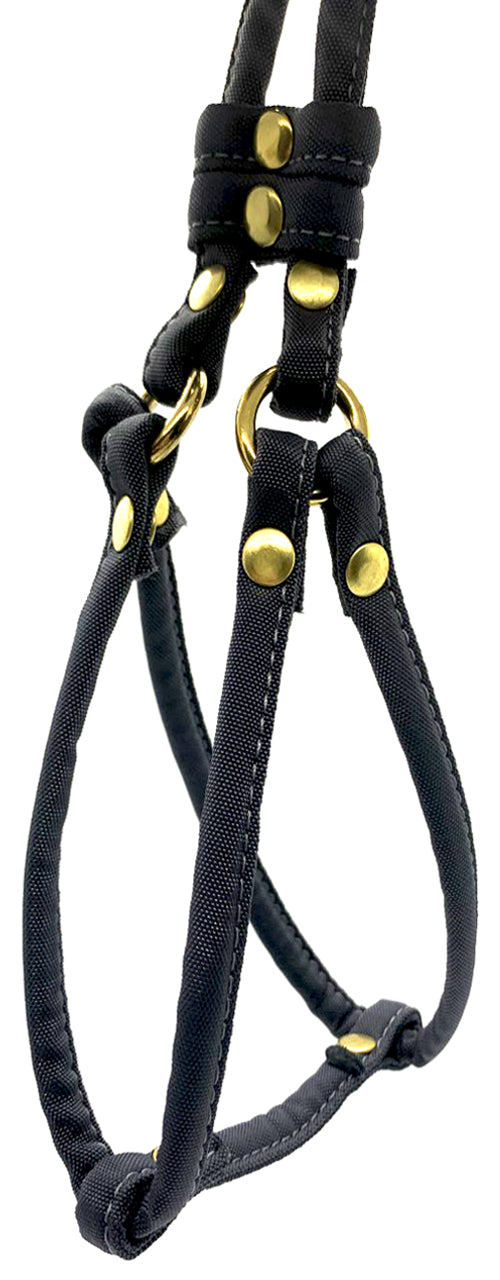 Dog Bar Brass Step-In Nylon Dog Harness w/ Leash