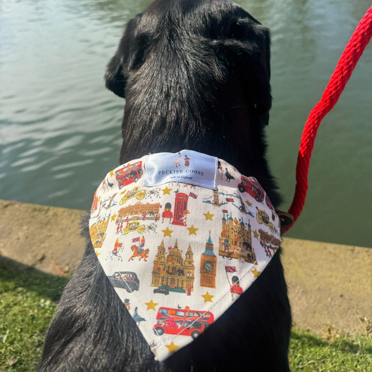Peckish Goose London Dog Bandana