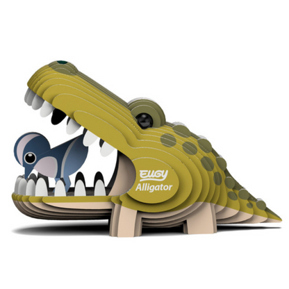 Alligator 3-D model kit