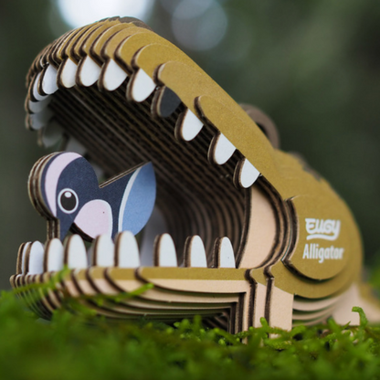 Alligator 3-D model kit