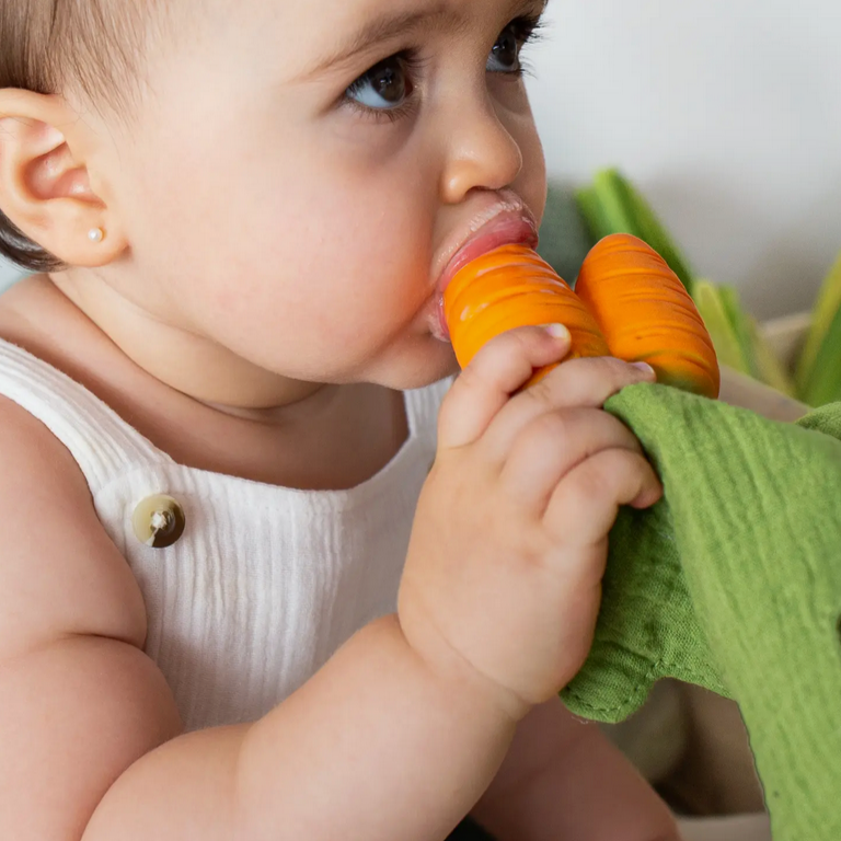 Cathy the Carrot Mini DouDou Teether