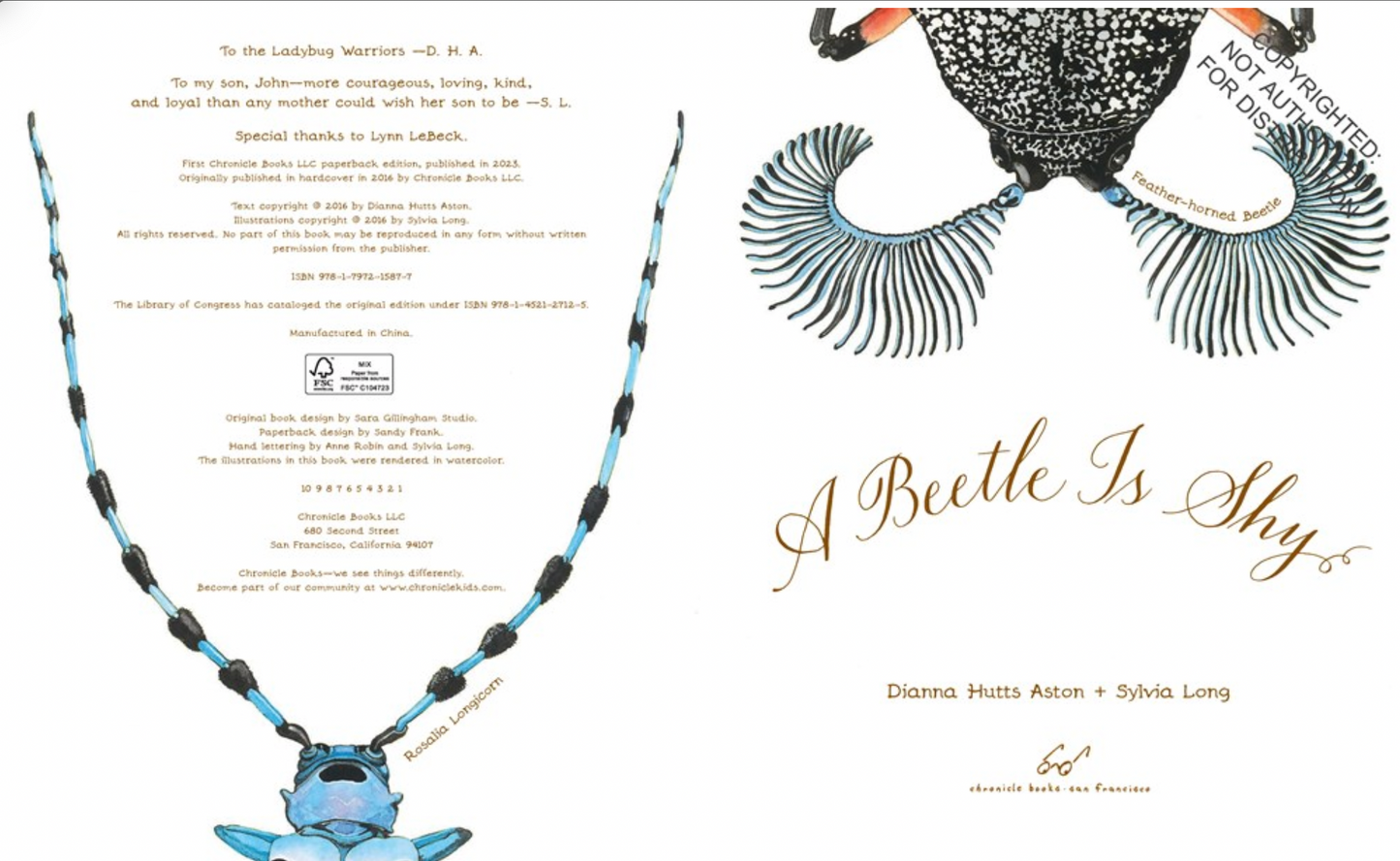 A Beetle Is Shy - paperback