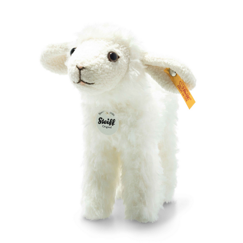 Anni Lamb
