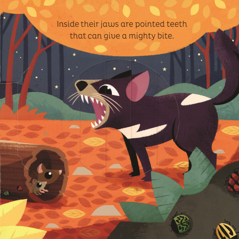 Animal Magic: In the Night