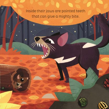 Animal Magic: In the Night