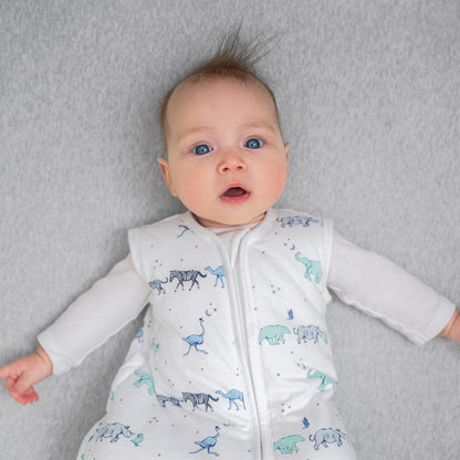 aden + anais Boutique Cotton Winter Sleeping Bag 2.5 TOG - Rising Star