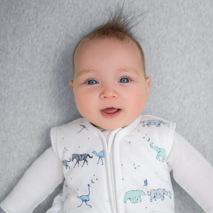 aden + anais Boutique Cotton Winter Sleeping Bag 2.5 TOG - Rising Star