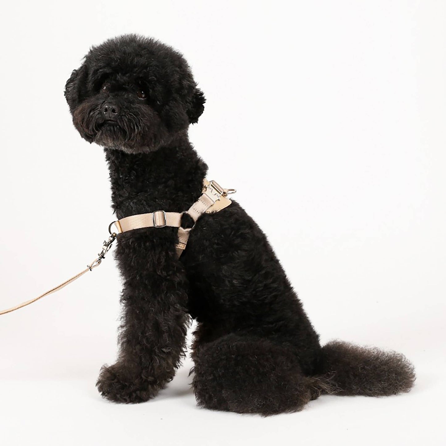 Hozi - Horsebit Harness : Black