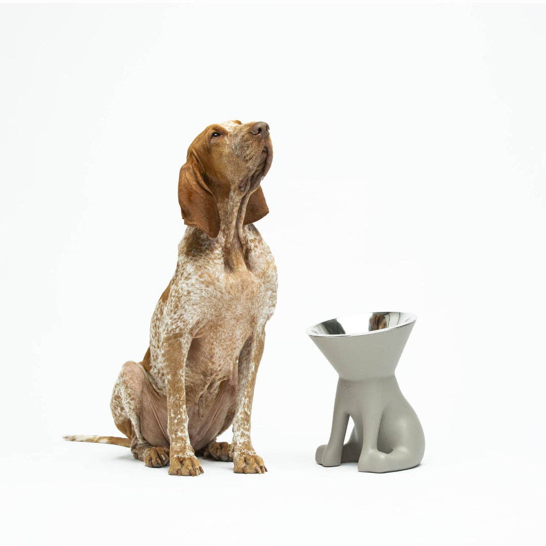 Puppy Gallery - ELIZABETH - The Queen of Dog Bowl