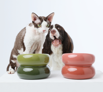 PEHOM - Soufflé Pet Bowl - Avocado Green