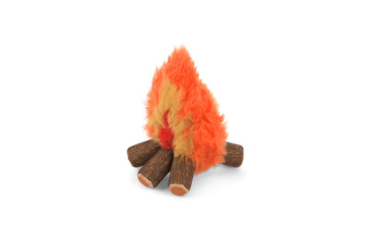 P.L.A.Y. Pet Lifestyle and You - Camp Corbin - Cozy Campfire