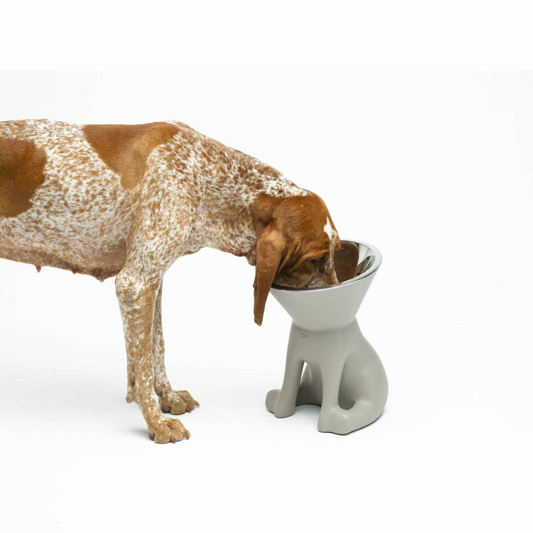 Puppy Gallery - ELIZABETH - The Queen of Dog Bowl