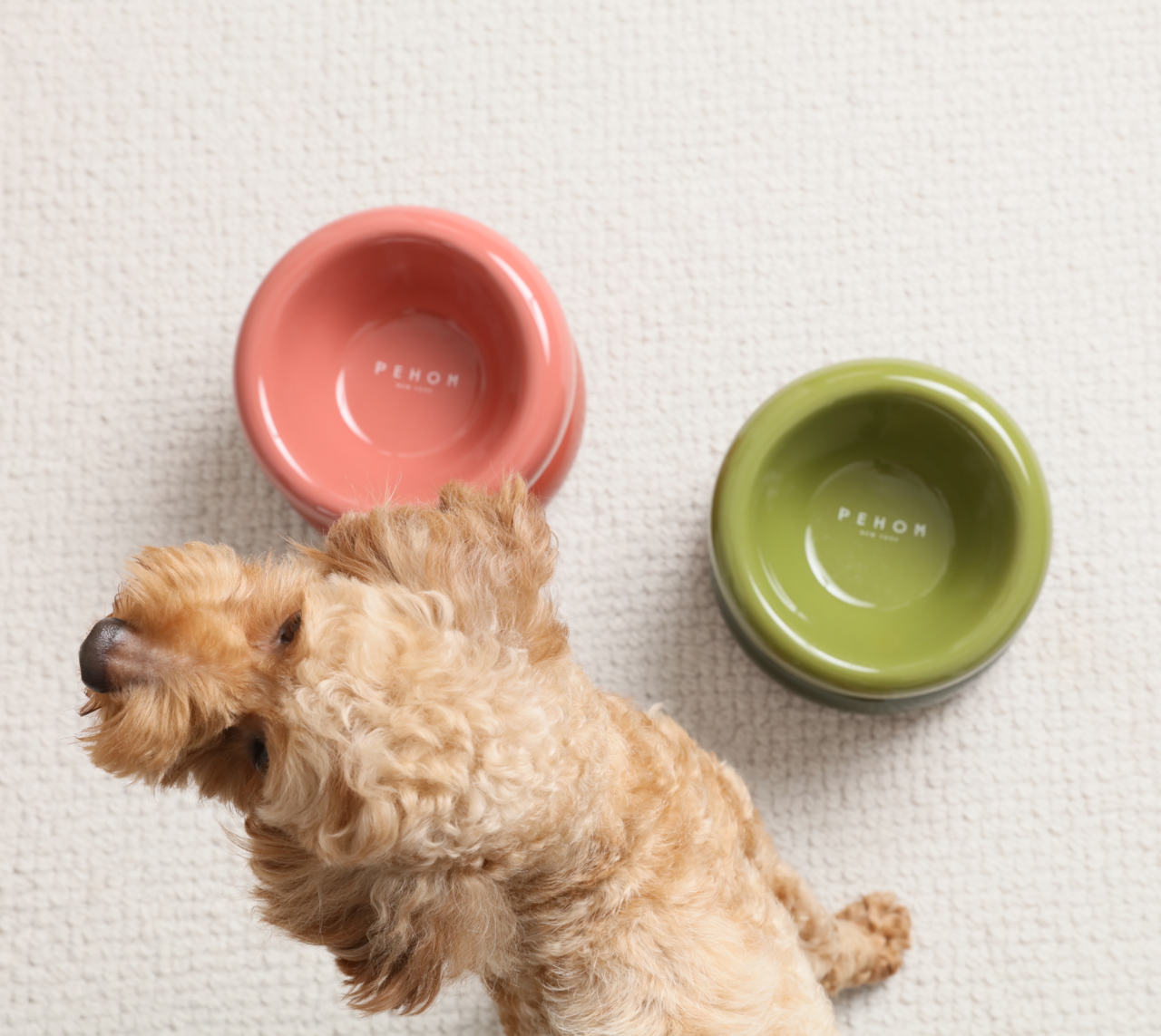 PEHOM - Soufflé Pet Bowl - Avocado Green