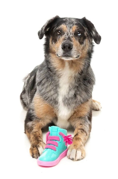 FuzzYard Fresh Kicks N' Licks Dog Chew Toy