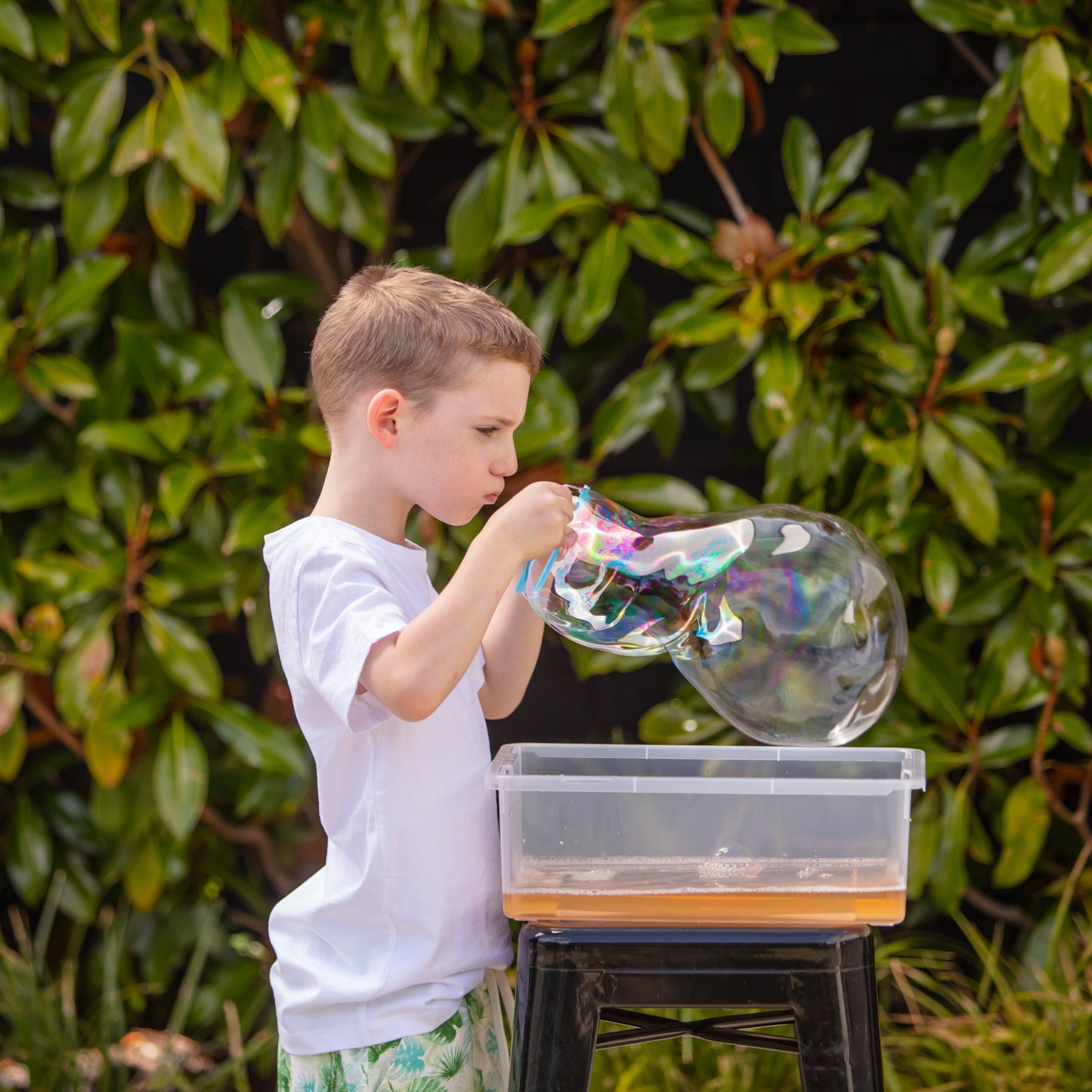 Bubble-ology - Soapy Science