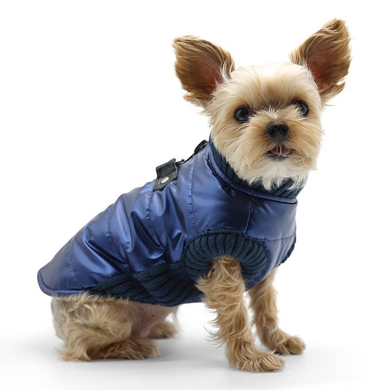 Dogo Pet - Runner Coat Metallic Blue