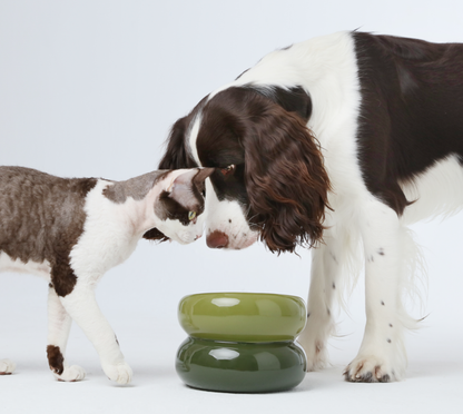 PEHOM - Soufflé Pet Bowl - Avocado Green