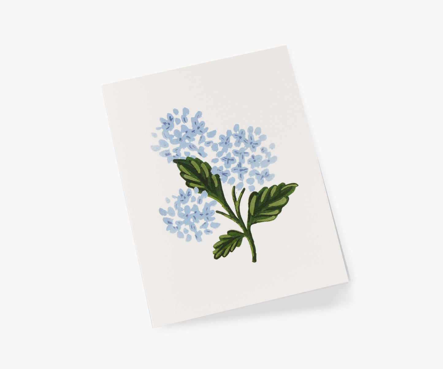 Hydrangea Bloom Everyday Card - Single Card
