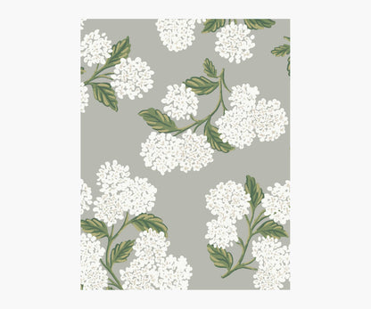 Hydrangea Wallpaper Sample - Grey