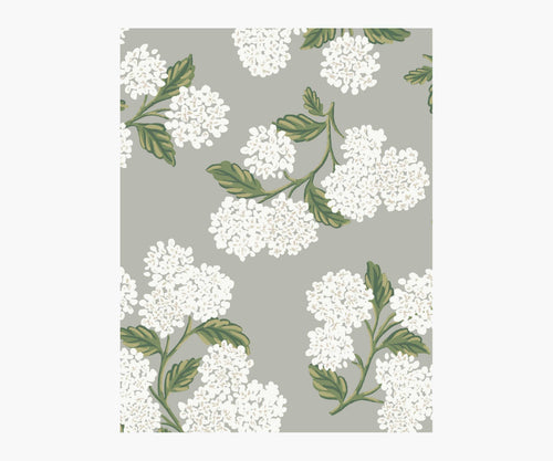 Hydrangea Wallpaper Sample - Grey